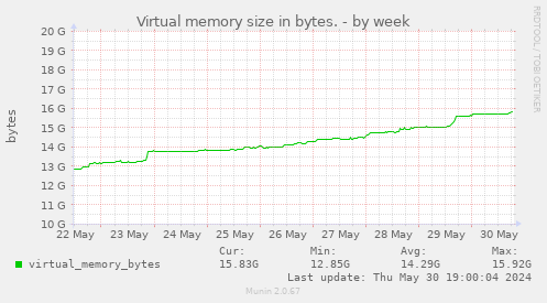 Virtual memory size in bytes.