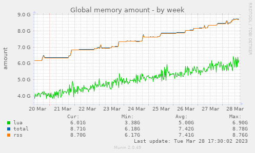 Global memory amount